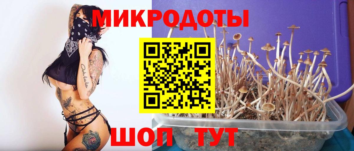 Павлово  Галлюциногенные грибы мицелий  Вход с VPN  Галлюциногенные грибы Magic Shrooms 